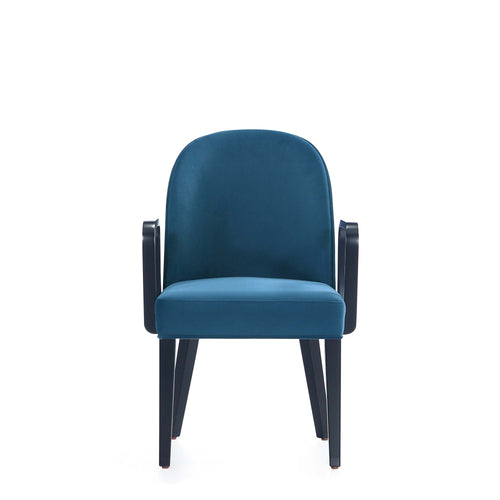 Hillman Wood Upholstered Armchair in Blue