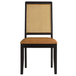 Arlo Vegan Leather Upholstered Faux Rattan and Wood Dining Side Chairs Set of 2 in Black Natural Tan