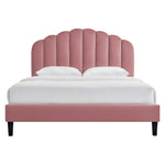 Daisy Tapered Wood Leg Performance Velvet Queen Platform Bed in Dusty Rose