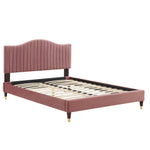 Juniper King Velvet Platform Bed with Wood and Gold Legs in Dusty Rose