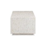 Earl 48" Shell Coffee Table in Cream