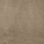 Madrid Velvet Upholstered Queen Bed in Taupe