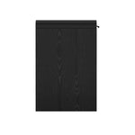 Grace 54" Office Desk (2-Drawer) in Black