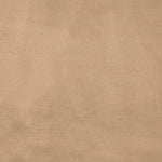 Kendall Velvet Upholstered Queen Bed in Beige