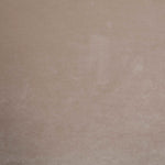 Kendall Velvet Upholstered Queen Bed in Taupe