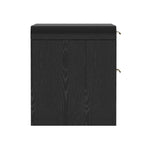Grace 28" Nightstand (2-Drawer) in Black and Gold
