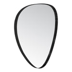 Finch Iron Frame Mirror in Black