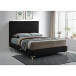 Geri Velvet Upholstered Queen Bed in Black
