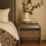 Giada Solid Wood And Veneer Nightstand in Brown