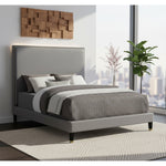 Harlie Velvet Upholstered Queen Bed in Grey