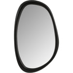 Holland Polyresin Frame Mirror in Black