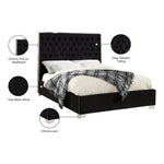 Lexi Velvet Upholstered Queen Bed in Black