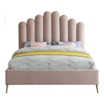Lily Velvet Upholstered Queen Bed in Pink
