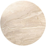 Liona Marble And Mango Wood Coffee Table in Beige