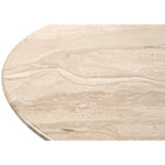 Liona Marble And Mango Wood Coffee Table in Beige