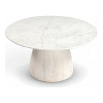 Liona Marble And Mango Wood Coffee Table in White