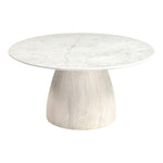 Liona Marble And Mango Wood Coffee Table in White