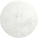 Liona Marble And Mango Wood Coffee Table in White