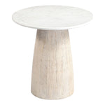 Liona Marble And Mango Wood End Table in White