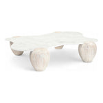 Liona Marble And Acacia Wood Coffee Table in White
