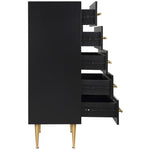 Marisol Wood Veneer And Iron Chest in Black