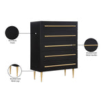 Marisol Wood Veneer And Iron Chest in Black