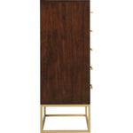 Maxine Wood Veneer And Iron Chest in Brown