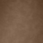 Navo Vegan Leather Upholstered Dining Chair in Brown