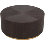Nile Oak Wood Top And Metal Base Coffee Table in Brown