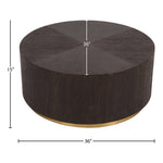 Nile Oak Wood Top And Metal Base Coffee Table in Brown