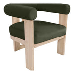 Arienzo Velvet Performance Fabric Upholstered Accent Chair in Green