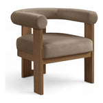 Arienzo Velvet Performance Fabric Upholstered Accent Chair in Taupe
