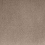 Arienzo Velvet Performance Fabric Upholstered Accent Chair in Taupe