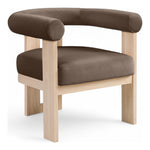 Arienzo Velvet Performance Fabric Upholstered Accent Chair in Brown
