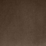 Arienzo Velvet Performance Fabric Upholstered Accent Chair in Brown