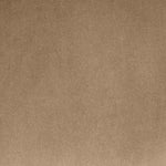 Arienzo Velvet Performance Fabric Upholstered Dining Chair in Beige