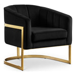 Carter Velvet Upholstered Accent Chair in Black