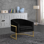 Carter Velvet Upholstered Accent Chair in Black