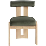 Arienzo Velvet Performance Fabric Upholstered Dining Chair in Green