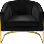 Carter Velvet Upholstered Accent Chair in Black