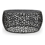 Priya Aluminum Coffee Table in Black