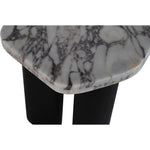 Puglia Marble Top And Oak Wood Base End Table in White