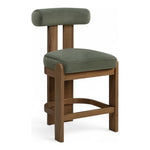 Arienzo Velvet Performance Fabric Upholstered Counter Stool in Green
