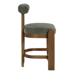 Arienzo Velvet Performance Fabric Upholstered Counter Stool in Green
