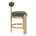 Arienzo Velvet Performance Fabric Upholstered Counter Stool in Green