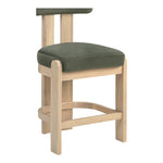 Arienzo Velvet Performance Fabric Upholstered Counter Stool in Green
