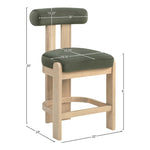 Arienzo Velvet Performance Fabric Upholstered Counter Stool in Green