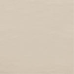 Rawlins Vegan Leather Upholstered Accent Chair in Beige