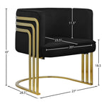 Rays Velvet Upholstered Accent Chair in Black
