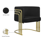 Rays Velvet Upholstered Accent Chair in Black